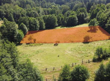 Prodej pozemku 3 446 m² - Olešnice v Orlických horách | Prodej - pozemek pro bydlení, 3 446 m²