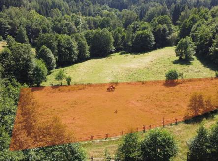 Prodej pozemku 3 118 m² - Olešnice v Orlických horách | Prodej - pozemek pro bydlení, 3 118 m²