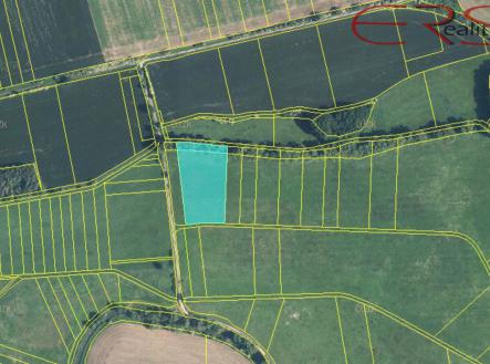 Prodej - pozemek, zemědělská půda, 18 591 m²