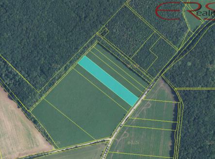 Prodej - pozemek, zemědělská půda, 18 591 m²