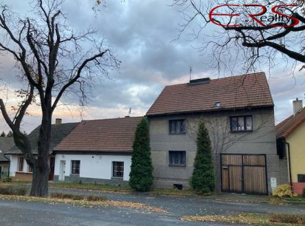 Prodej - dům/vila, 485 m²