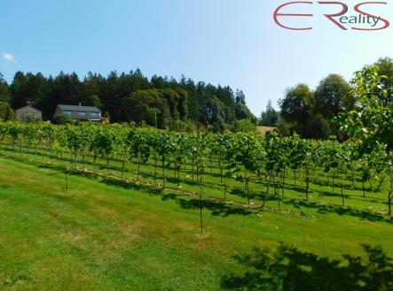 DSCN5080 - kopie | Prodej - pozemek pro bydlení, 3 446 m²