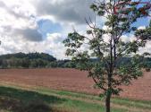 Prodej - pozemek, trvalý travní porost, 16 112 m²