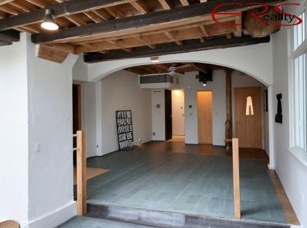 BRIZ_Vizualizace (9) | Pronájem - obchodní prostor, 302 m²