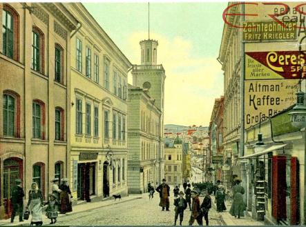 78cc9837-8759-4209-9660-06a7f73604eb | Pronájem - obchodní prostor, 342 m²