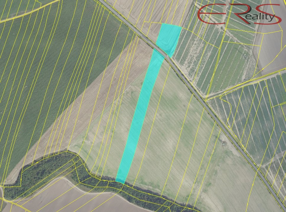 Snímek obrazovky 2025-10-09 v 11.59.16