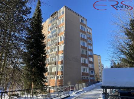 IMG_2121 | Pronájem bytu, 2+1, 45 m²