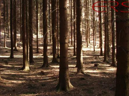 Screenshot_1 | Prodej - pozemek, les, 60 268 m²