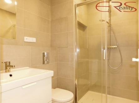 DSCN3133 | Pronájem bytu, 2+kk, 36 m²