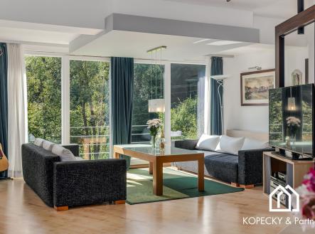 Prodej - dům/vila, 431 m²