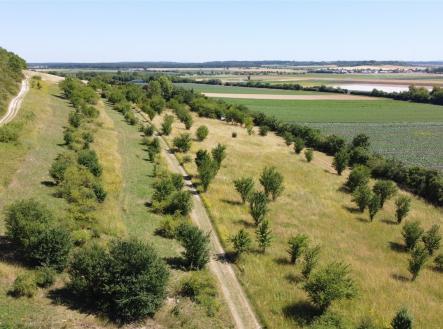 . | Prodej - pozemek pro bydlení, 1 659 m²