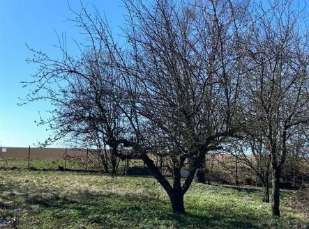 . | Prodej - pozemek pro bydlení, 907 m²