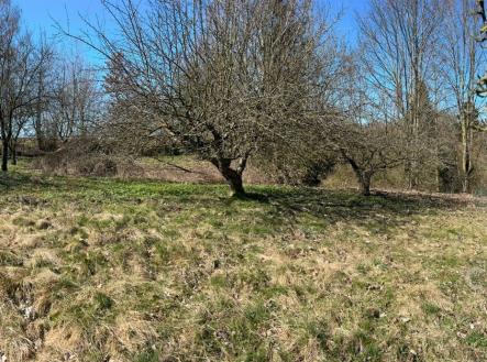 . | Prodej - pozemek pro bydlení, 907 m²