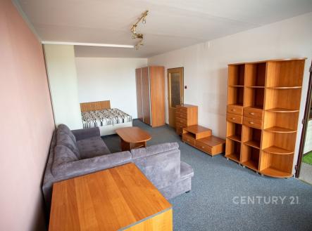 . | Pronájem bytu, 1+1, 43 m²