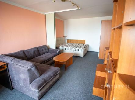 . | Pronájem bytu, 1+1, 43 m²