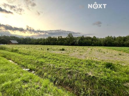 Prodej - pozemek pro bydlení, 10 071 m²
