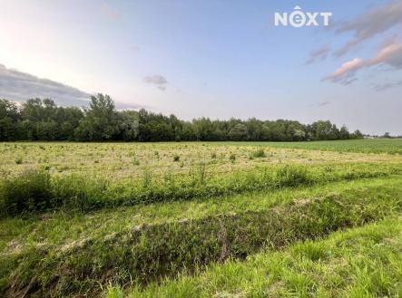Prodej - pozemek pro bydlení, 10 071 m²