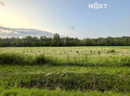 Prodej - pozemek pro bydlení, 10 071 m²