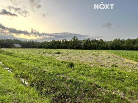 Prodej - pozemek pro bydlení, 10 071 m²