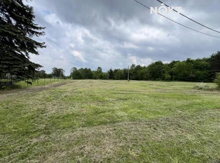 Pronájem - pozemek, zemědělská půda, 7 056 m²