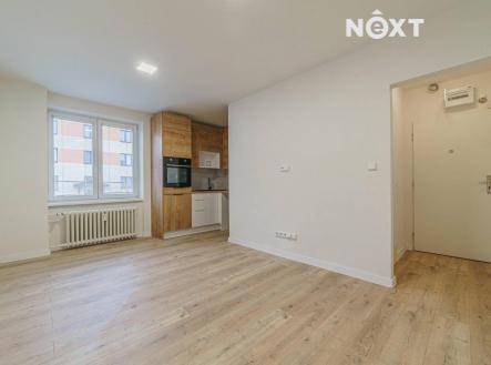 Pronájem bytu, 1+kk, 22 m²
