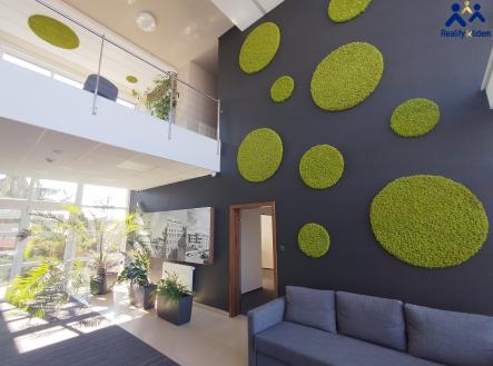 IMG_20250320_114620 | Pronájem - kanceláře, 66 m²