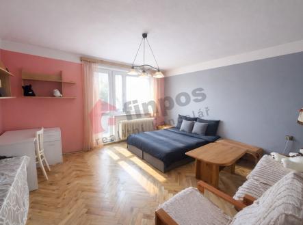 Pronájem bytu, 1+1, 47 m²