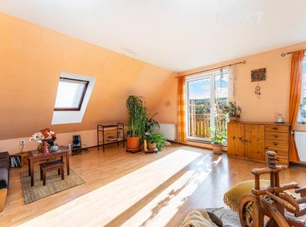 Prodej - dům/vila, 425 m²