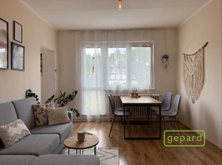 Pronájem bytu, 3+1, 67 m² obrázek