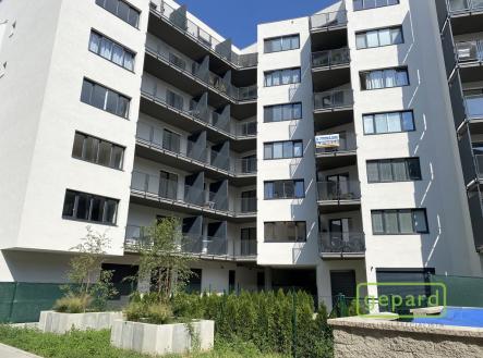 1.jpg | Pronájem bytu, 2+kk, 65 m²