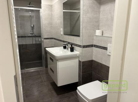 img-1734.jpeg | Pronájem bytu, 2+1, 40 m²