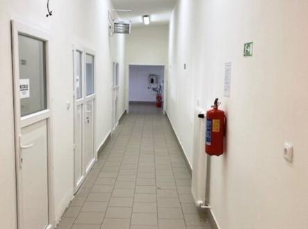cdf0a262-c598-4d8c-95b6-5a1e1860acf4.jpg | Prodej - jiné, 700 m²