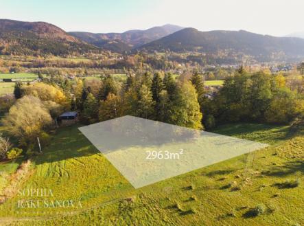 1649-1.jpg | Prodej - pozemek pro bydlení, 2 963 m²