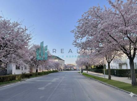 Prodej bytu, 3+kk, 74 m² obrázek