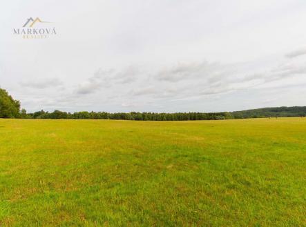Prodej - pozemek, trvalý travní porost, 98 591 m²
