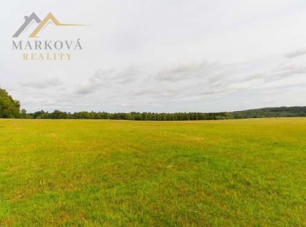 Prodej - pozemek, trvalý travní porost, 98 591 m²