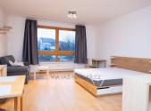 Pronájem bytu, 1+kk, 46 m²