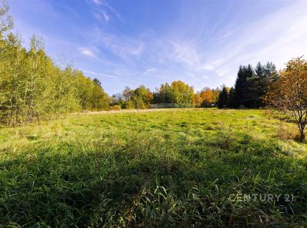 . | Prodej - pozemek pro bydlení, 2 511 m²