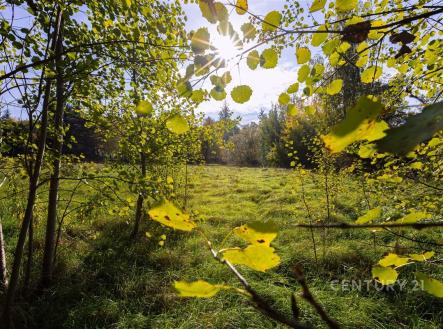 . | Prodej - pozemek pro bydlení, 2 511 m²