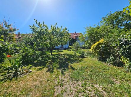 . | Pronájem bytu, 4+1, 110 m²