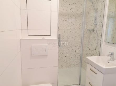 Pronájem bytu, 1+1, 36 m²