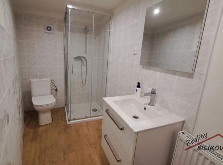 Pronájem bytu, 1+1, 28 m²