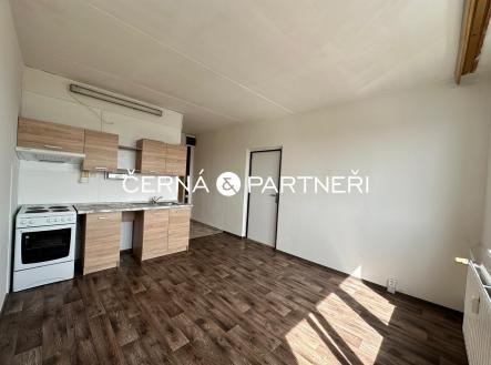 Pronájem bytu, 1+1, 36 m² obrázek