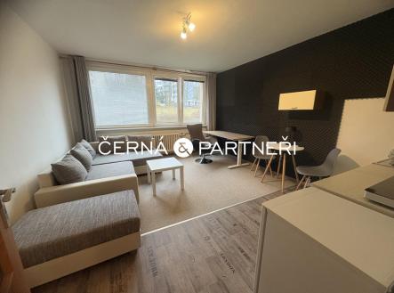 IMG_1176.jpeg | Pronájem bytu, garsoniéra, 28 m²