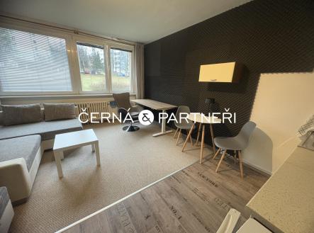 IMG_1174.jpeg | Pronájem bytu, garsoniéra, 28 m²