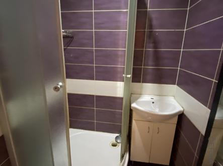 image_67180289.JPG | Pronájem bytu, 2+1, 54 m²