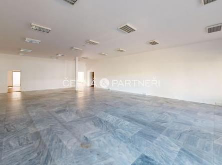 fotografie | Pronájem - obchodní prostor, 319 m²