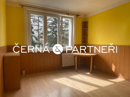 IMG_4493.JPG | Pronájem bytu, 1+1, 36 m²