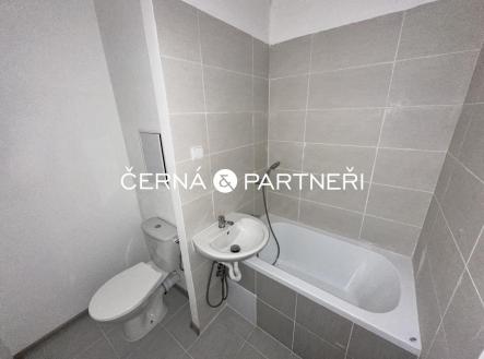 Pronájem bytu, 1+kk, 22 m² obrázek