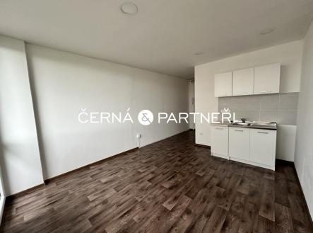 Pronájem bytu, 1+kk, 22 m² obrázek
